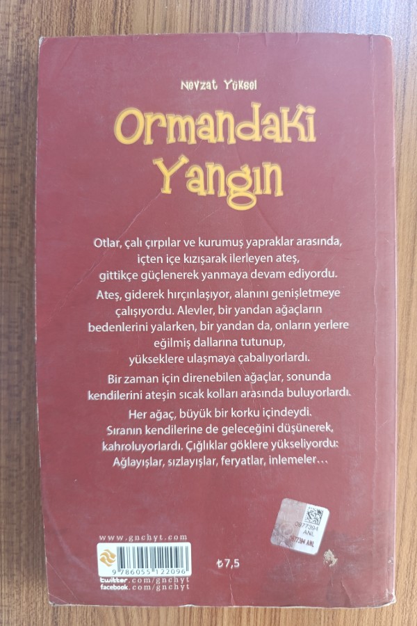 Ormandaki Yangın