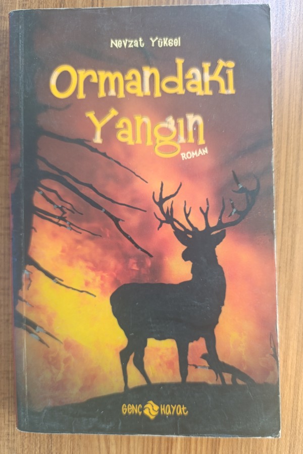 Ormandaki Yangın