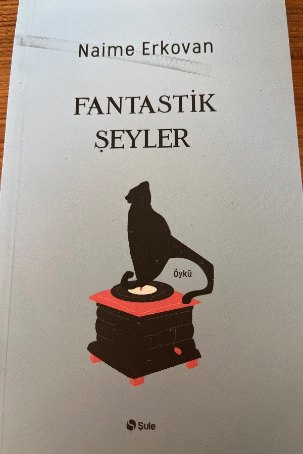 Fantastik şeyler