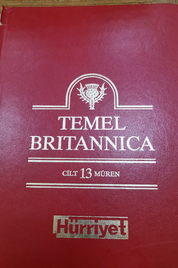 13 Temel Brıtannıca cilt 13 müren