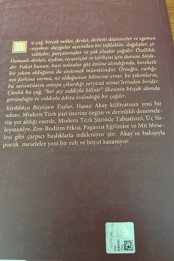 Kırıldıkça büyüyen taşlar