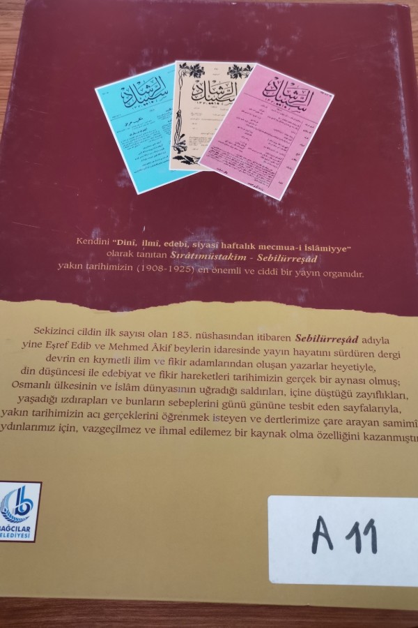 Sebilürreşad cilt 12