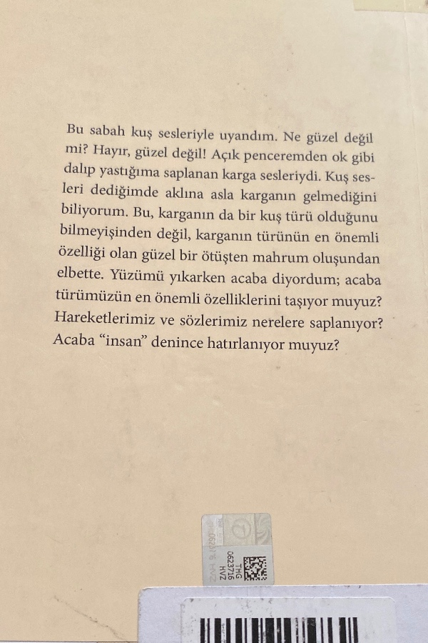 Posta kutusundaki mızıka