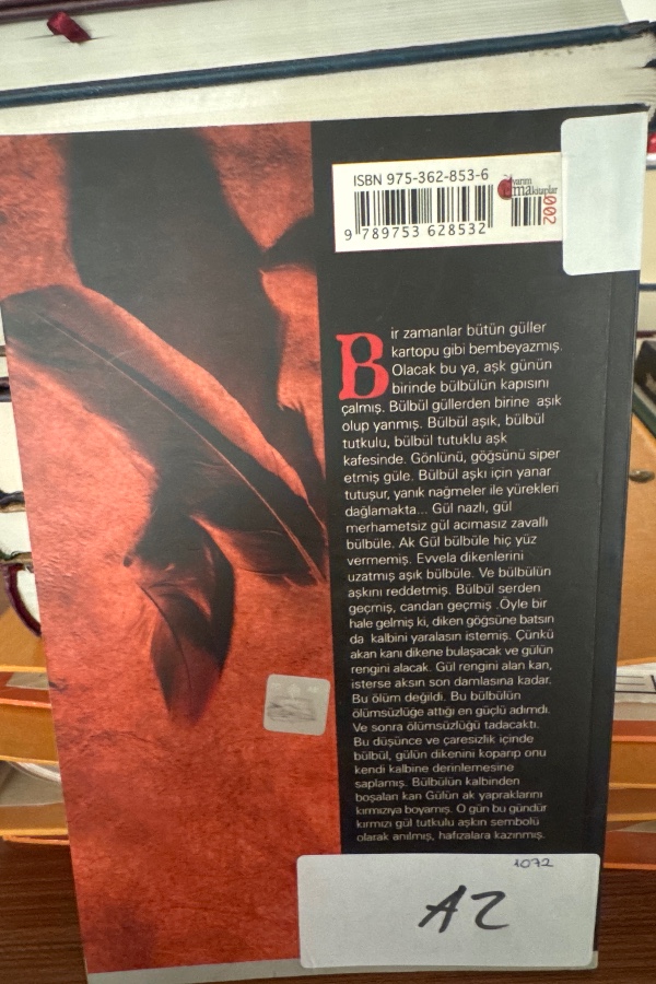 AŞKIN HÜKÜMRANLIĞI