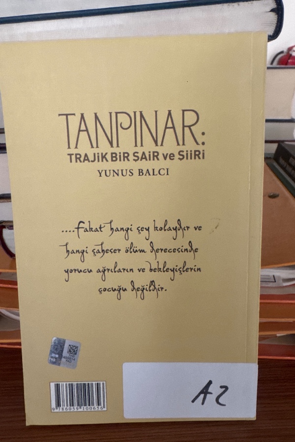 TRAJİK BİT ŞAİR VE ŞİİRİ