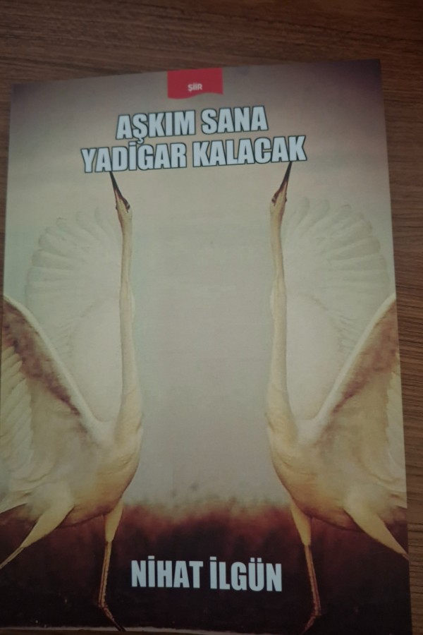 AŞKIM SANA YADİGAR KALACAK
