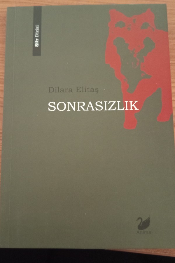 Sonrasızlık