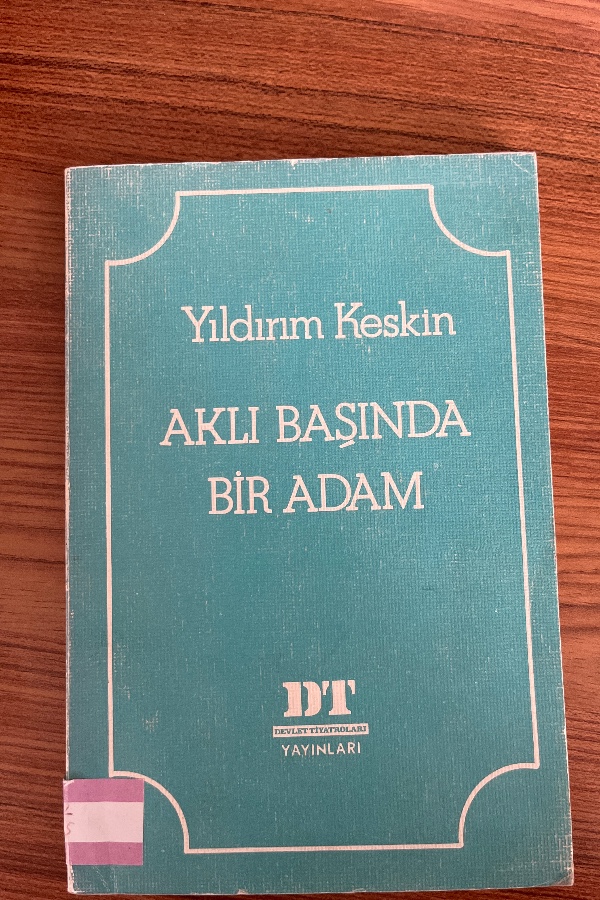 Aklı Başında Bir Adam
