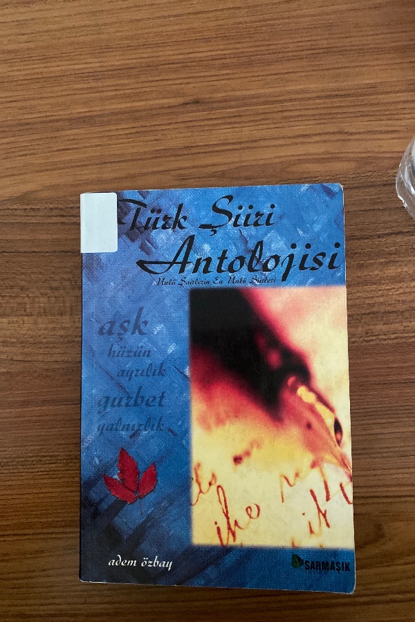 Türk şiiri antolojisi