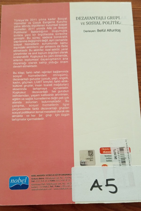 Dezavantajlı Gruplar ve Sosyal politika