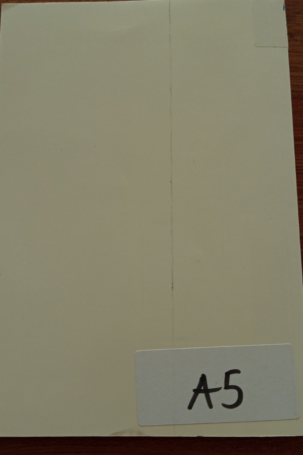 Toplum ve Sosyal Hizmet 15