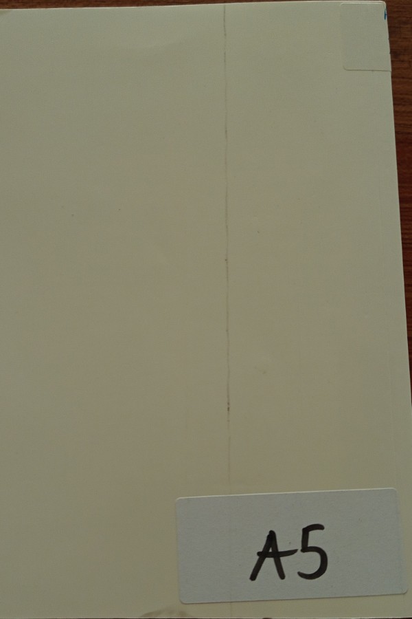 Toplum ve Sosyal Hizmet 16