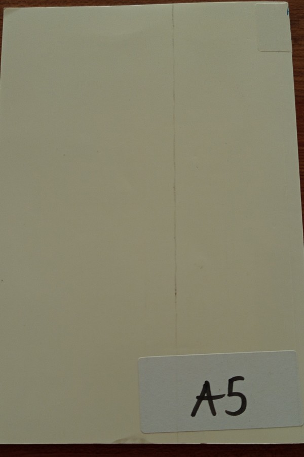 Toplum ve Sosyal Hizmet 17