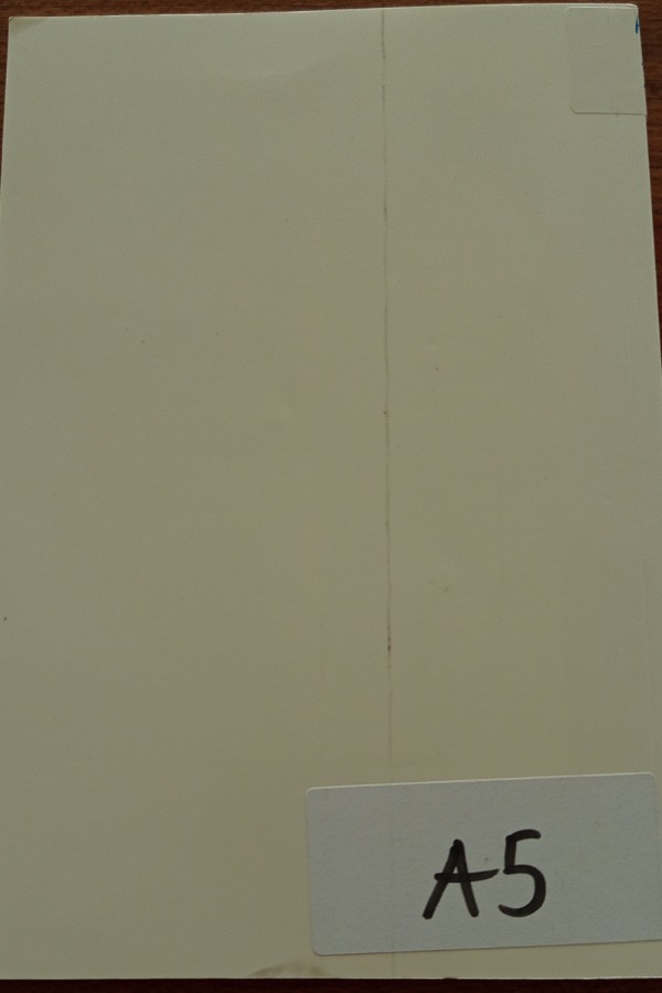 Toplum ve Sosyal Hizmet 21