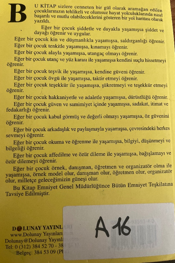 Başarı ve mutluluk için olumsuz ve tehlikeli bir çevrede başarılı çocuklar yetiştirmek