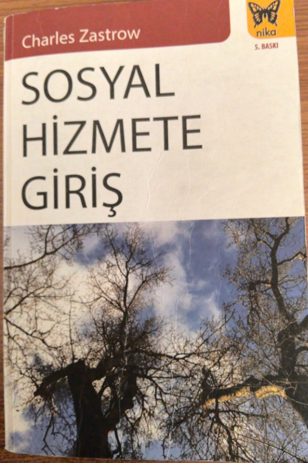 sosyal hizmete giriş