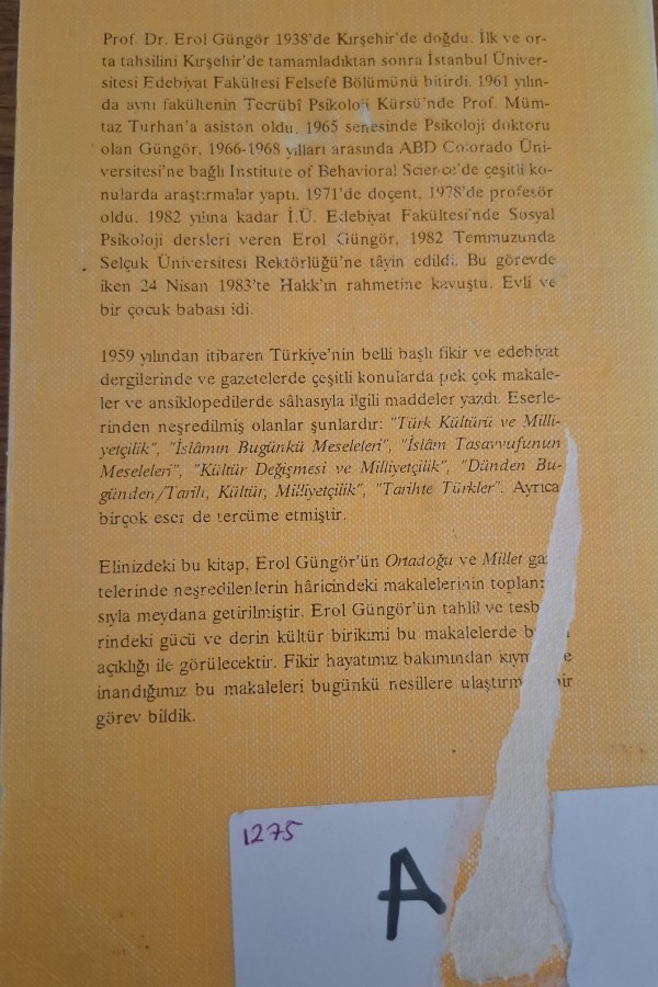 Sosyal meslekler ve aydınlar