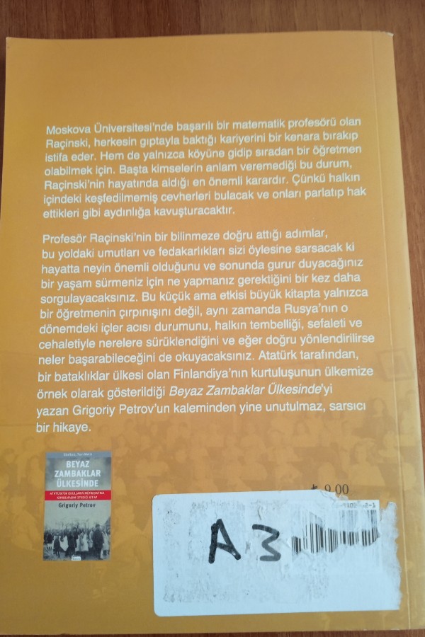 İdealist öğretmen