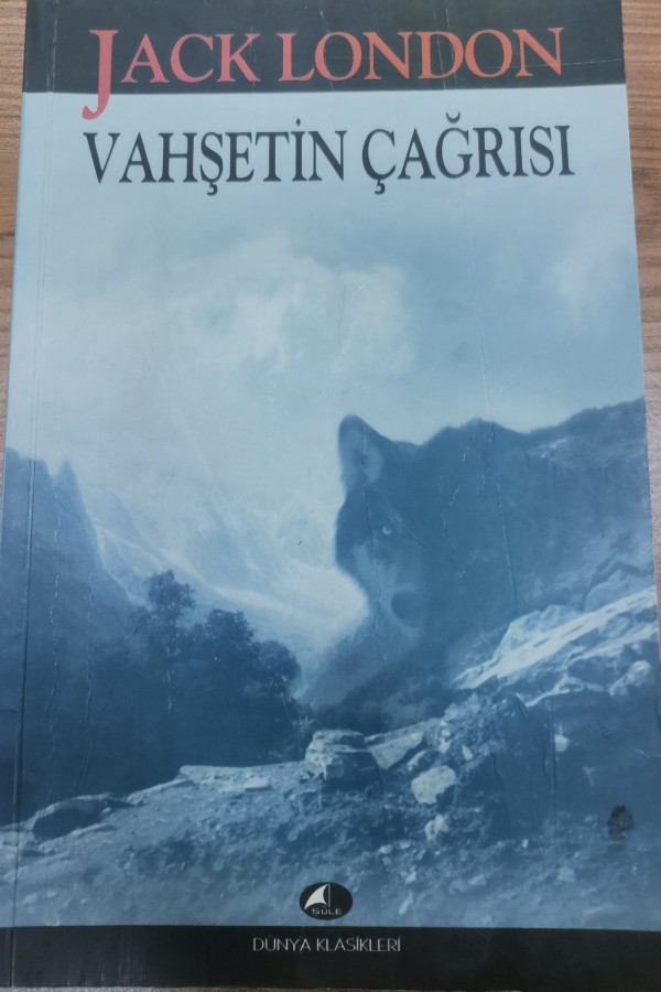 vahşetin çağrısı