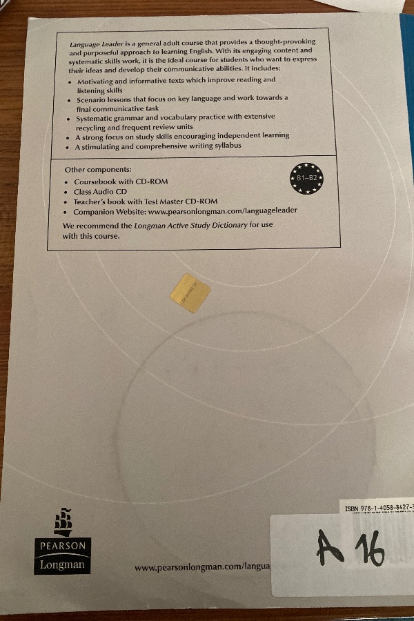 language leader workbook