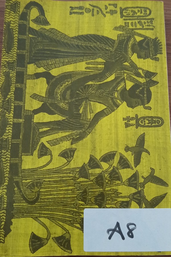 Paragraph Development Methods