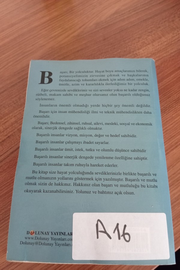 Siz başarmak için doğdunuz gerçek başarının sinerjisi