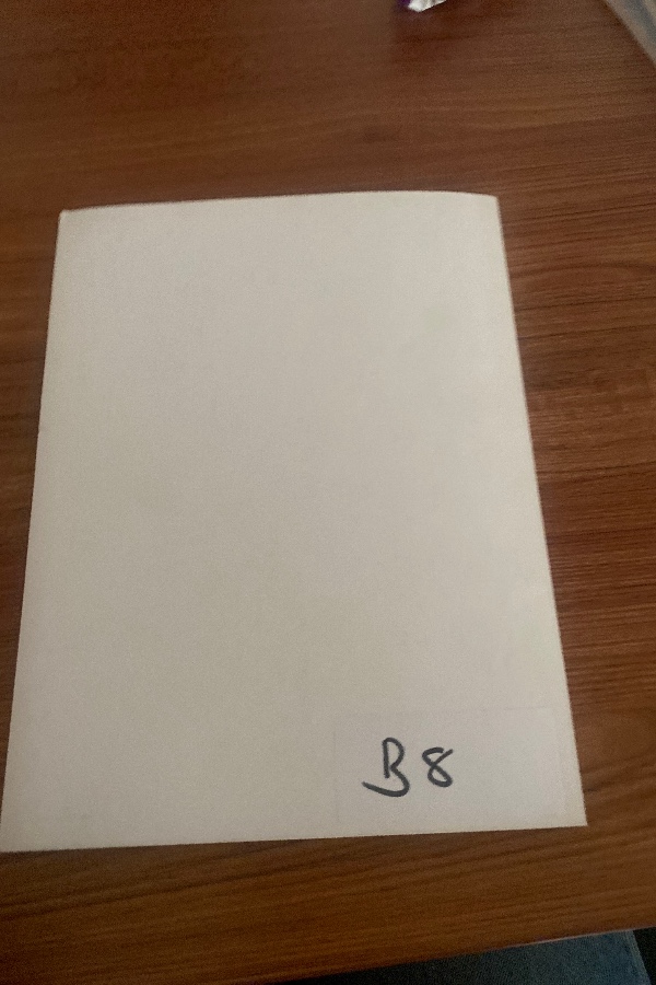 strong motıon accelerography records of turkey