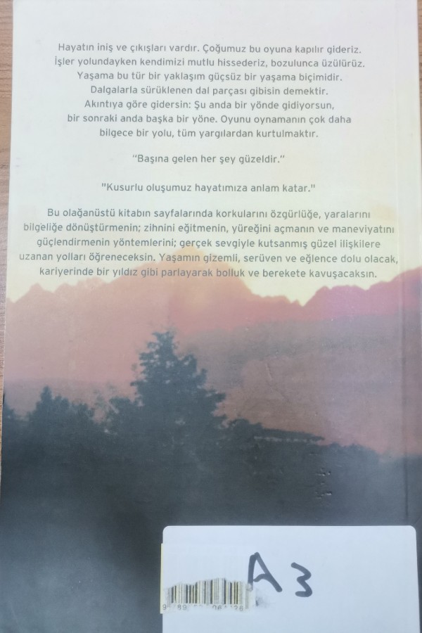 Ermiş, sörfçü ve patron