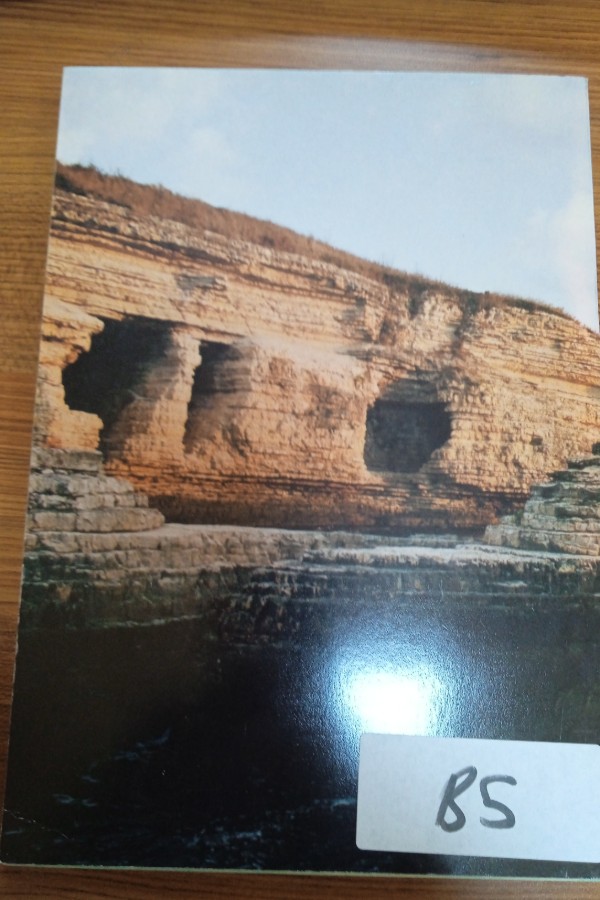 Jeoloji mühendisliği