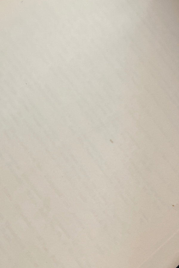 Some Megsaspores from the Amasra (Zonguldak) Coal Basin