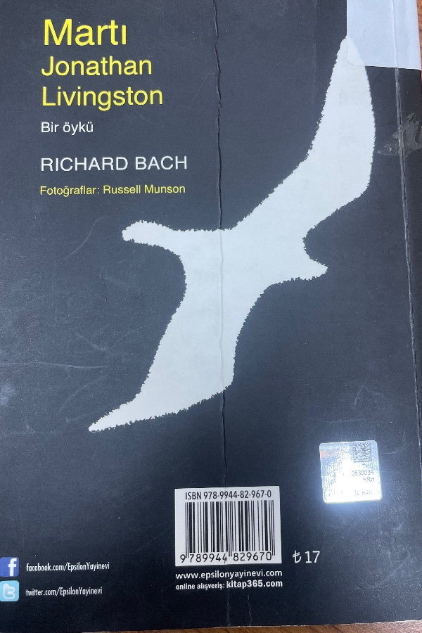 Martı Jonathan Livingston