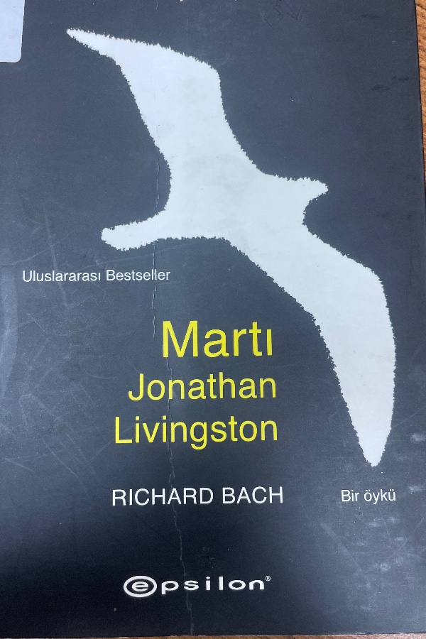 Martı Jonathan Livingston