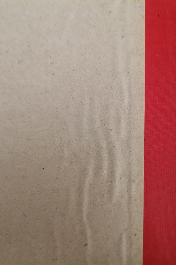 Bağdatta ilk türkler