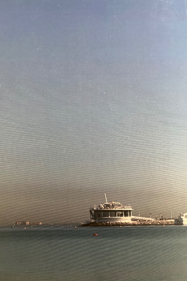 International science ındex