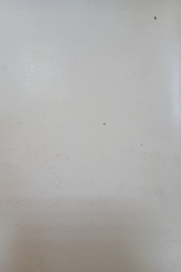 Ortaçağ tarihi ve uygarlığı (ders notları)