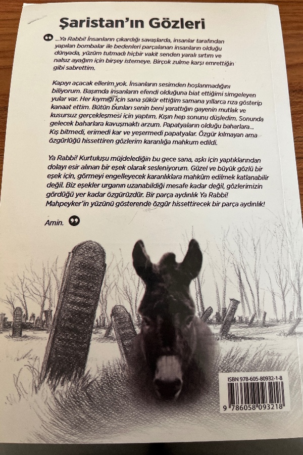 Şaristanın gözleri