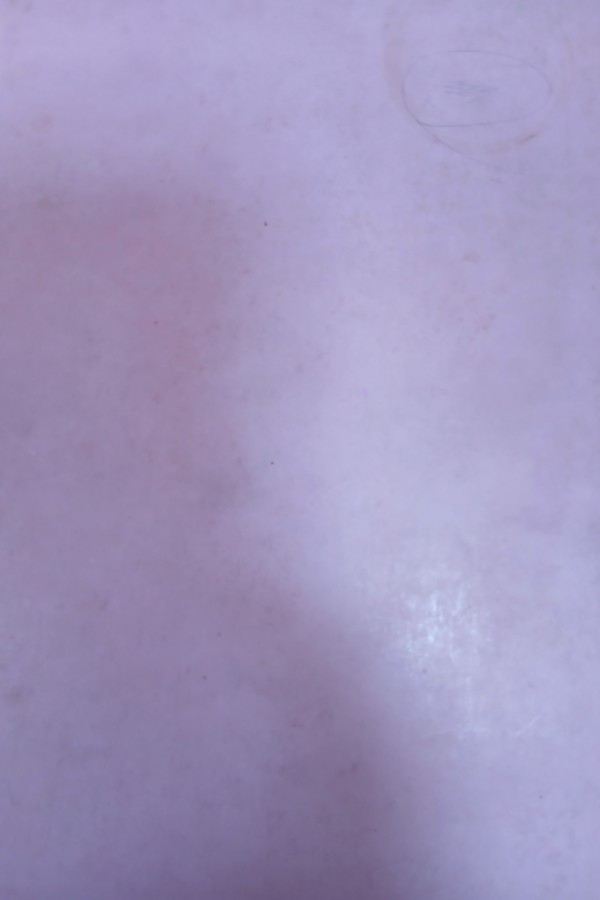 Türk devrim tarihi  III