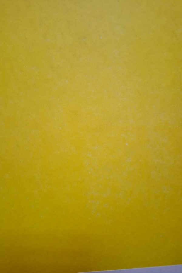 Deprem Araştırma Enstitüsü Bülteni  51