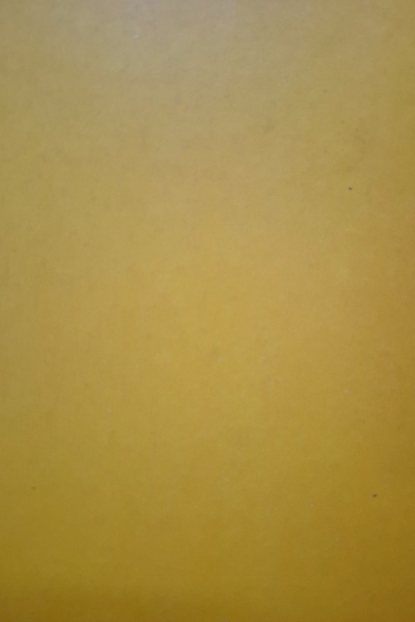 Deprem Araştırma Enstitüsü Bülteni 52