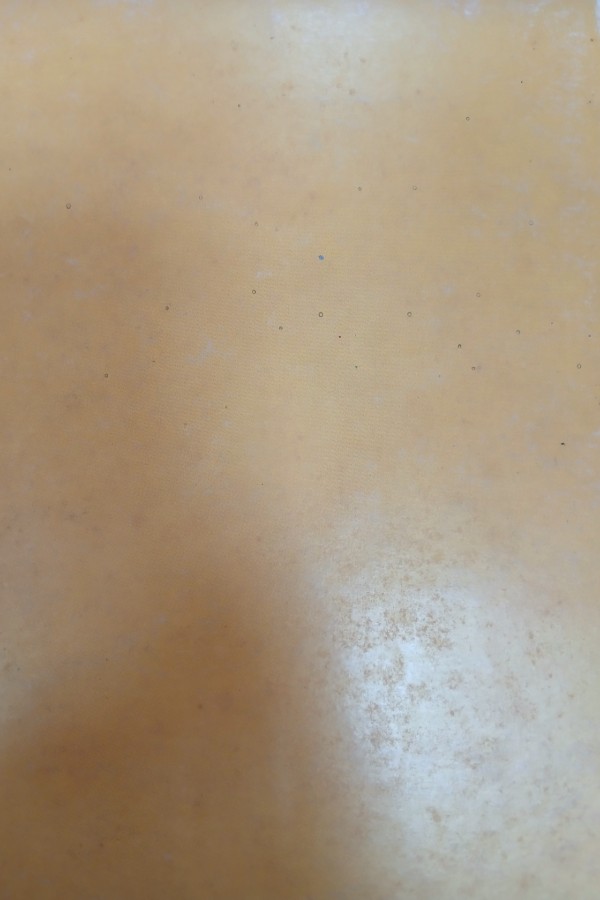 Türk devrim tarihi II