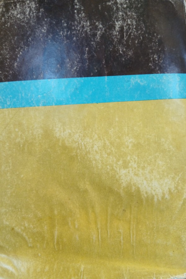 Dünya tarihi ansiklopedisi