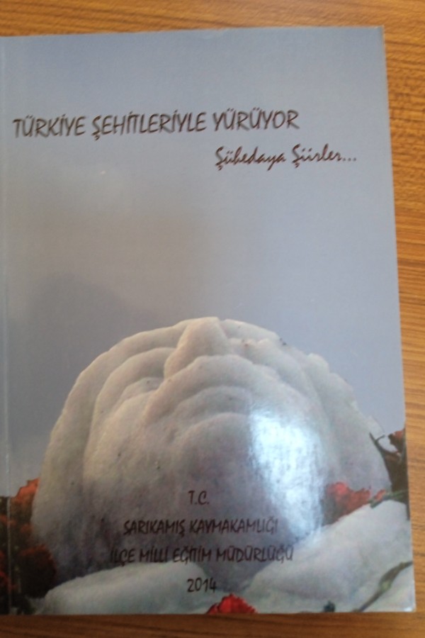 Türkiye şehitleriyle yürüyor