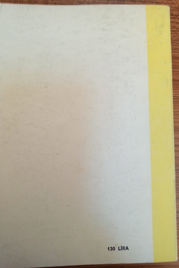 İslam devletlerinde türk naibeler ve kadın hükümdarlar