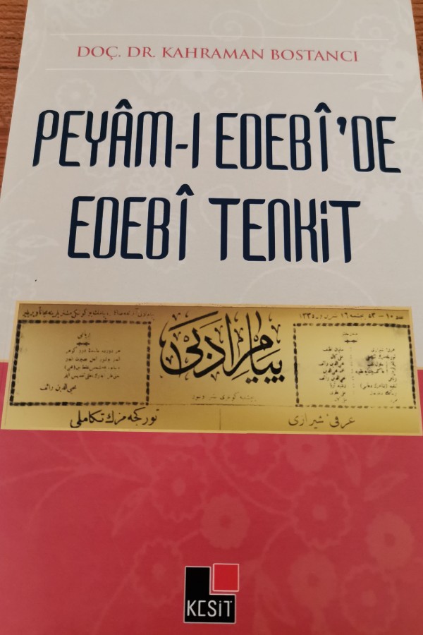 peyamı edebide edebi tenkit