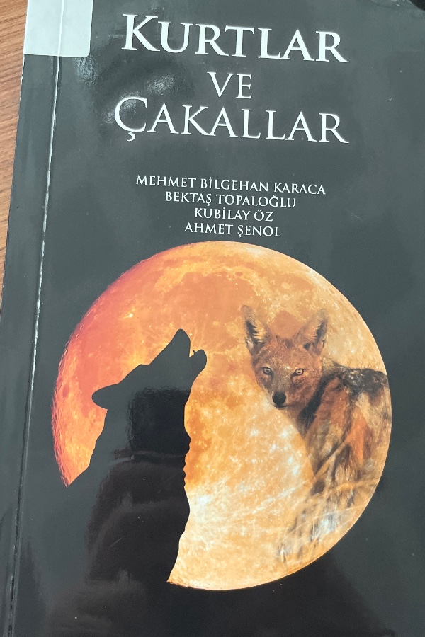 Kurtlar ve Çakallar