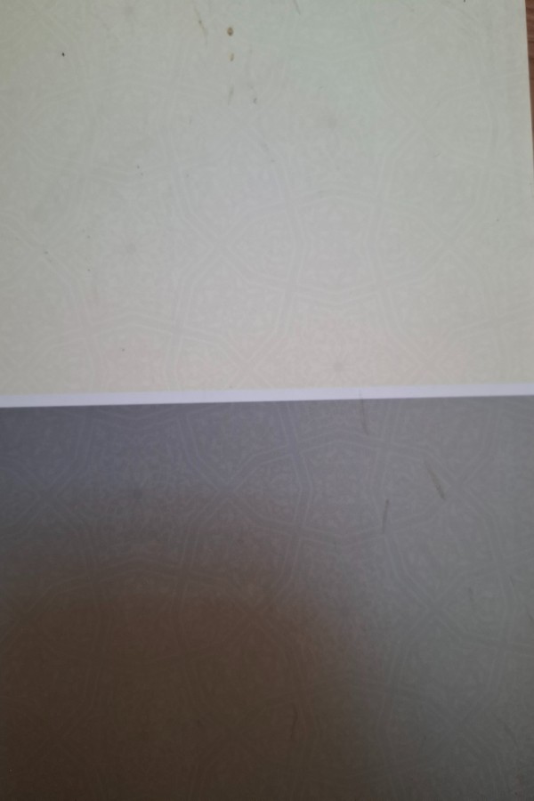 Erzurumun yüzleri Ahmet polat