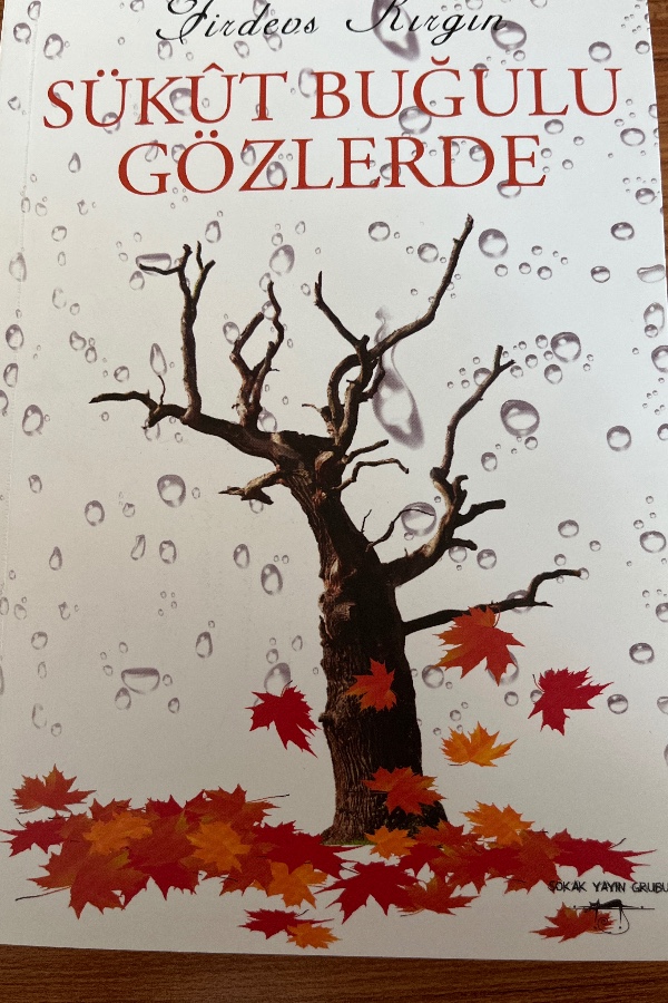 Sükut buğulu gözlerde