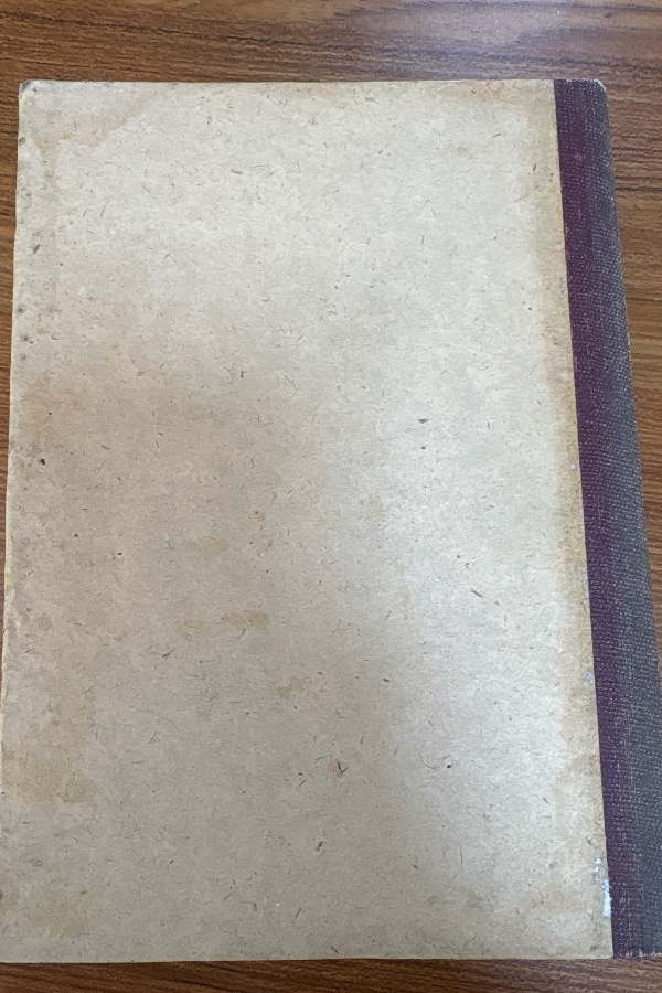 Doğu ve Güneydoğu Anadolu'da Türk Beylikleri