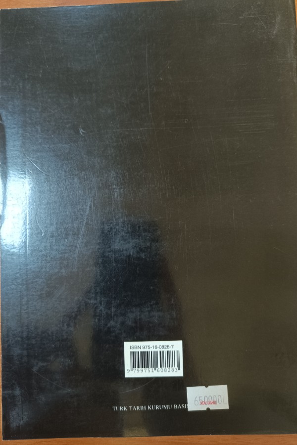 Yeni Türk Cumhuriyetleri Tarihi