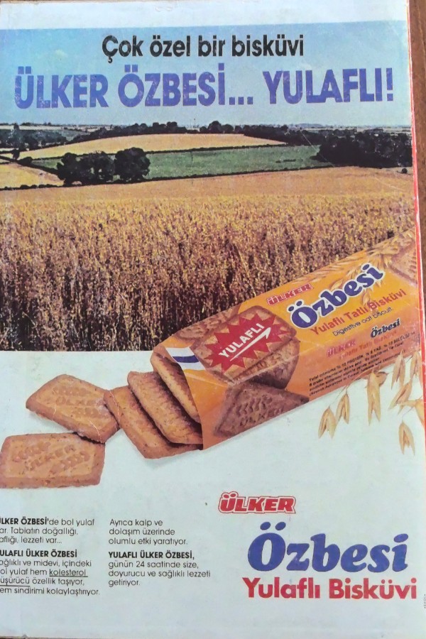 20. Yüzyıl ansiklopedisi